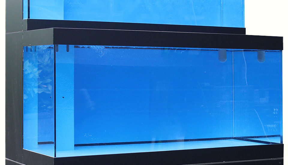 活魚水槽の仕組みと作り方コラムのアクリル水槽画像
