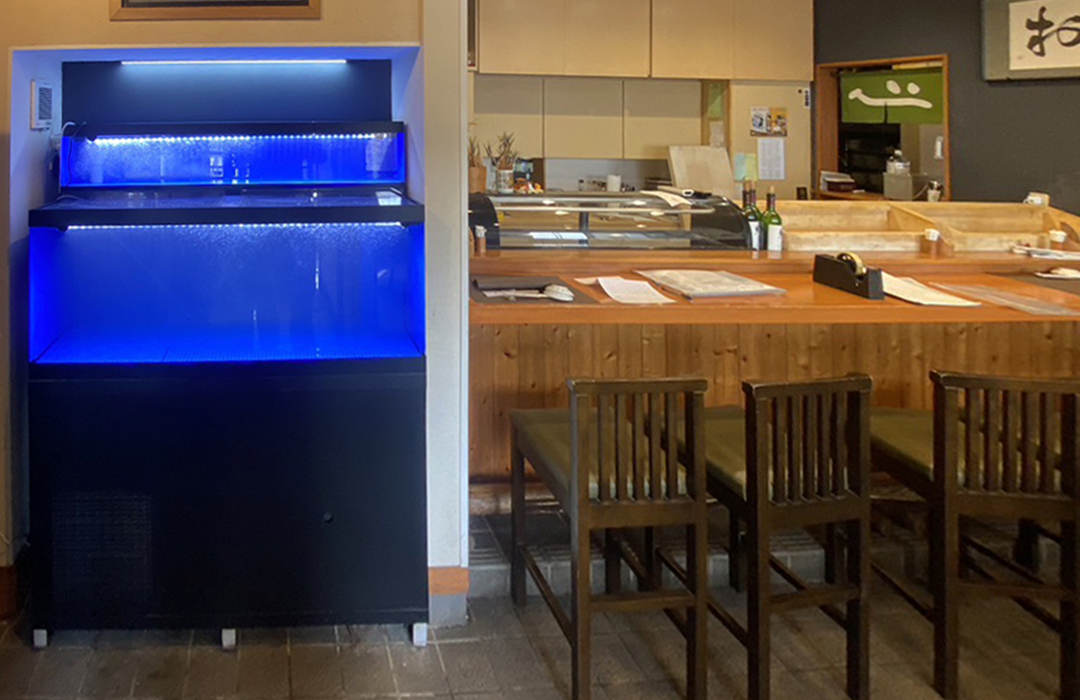 二段式水槽Mサイズ