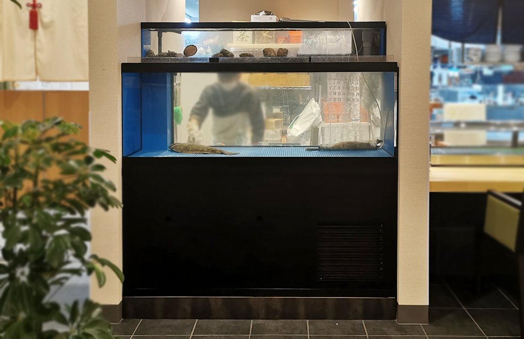 二段式水槽 Lサイズ