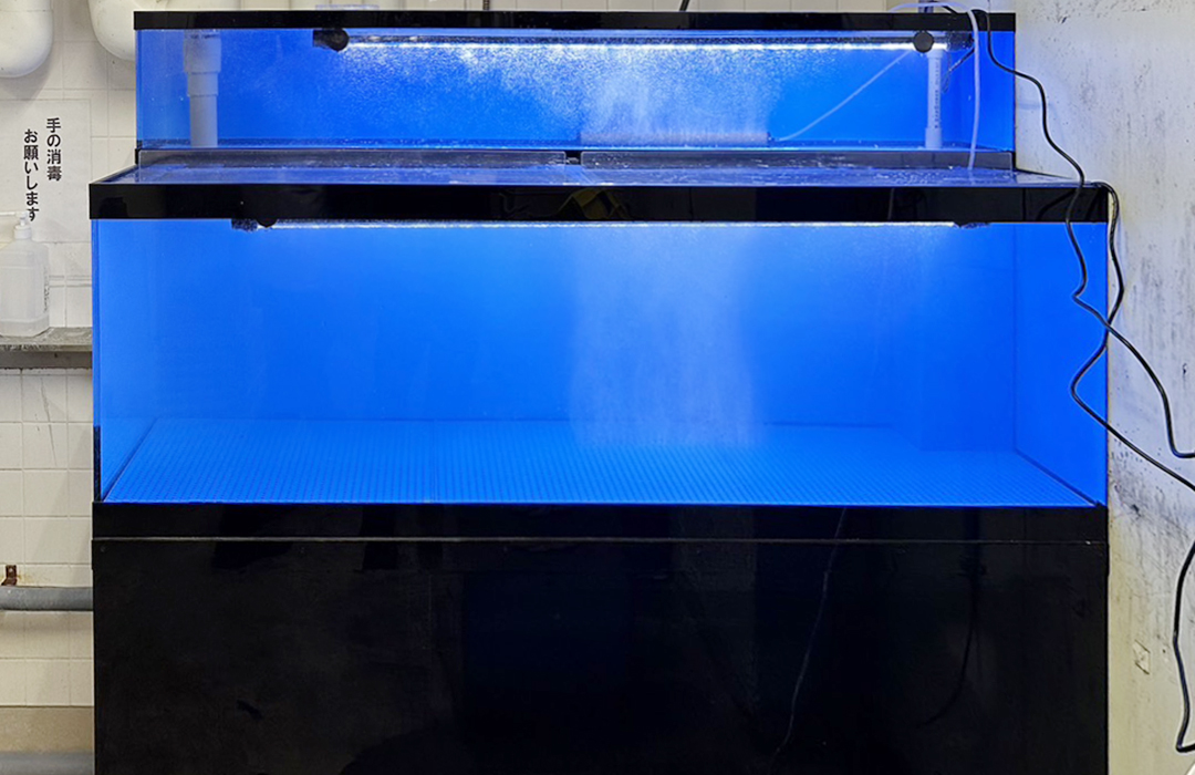 二段式水槽 Lサイズ