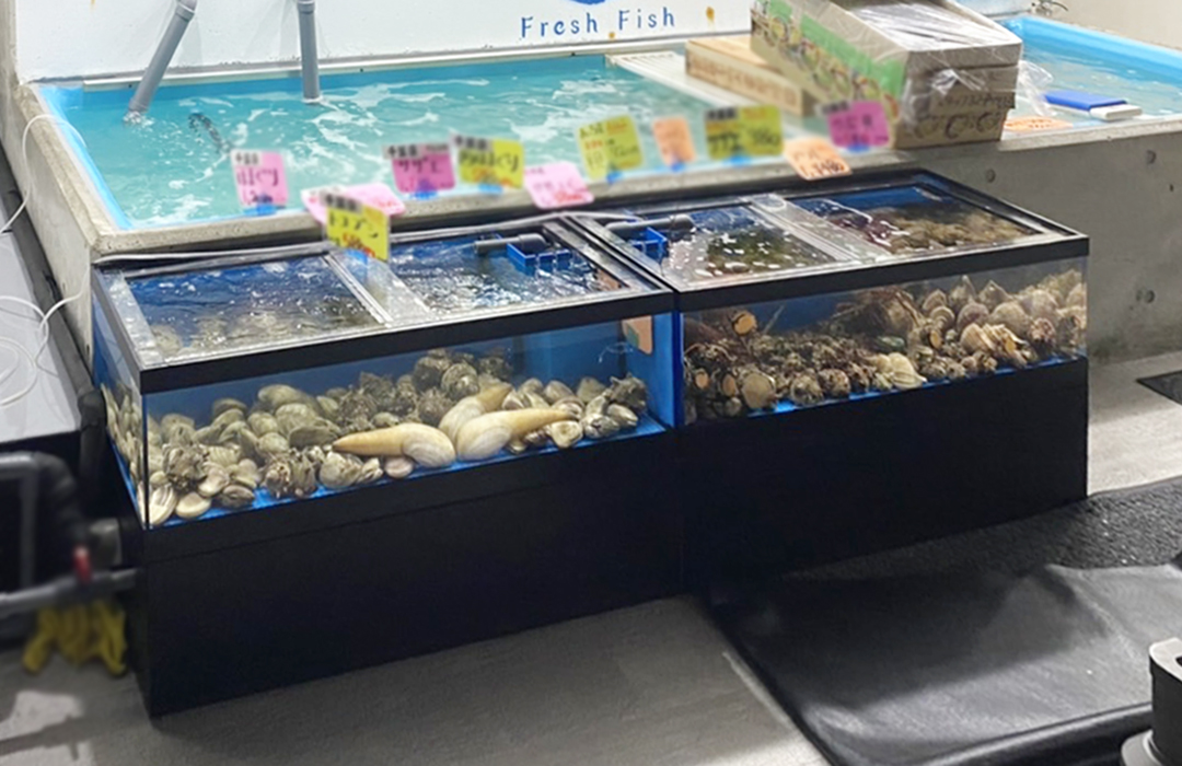 二段式水槽Lサイズ