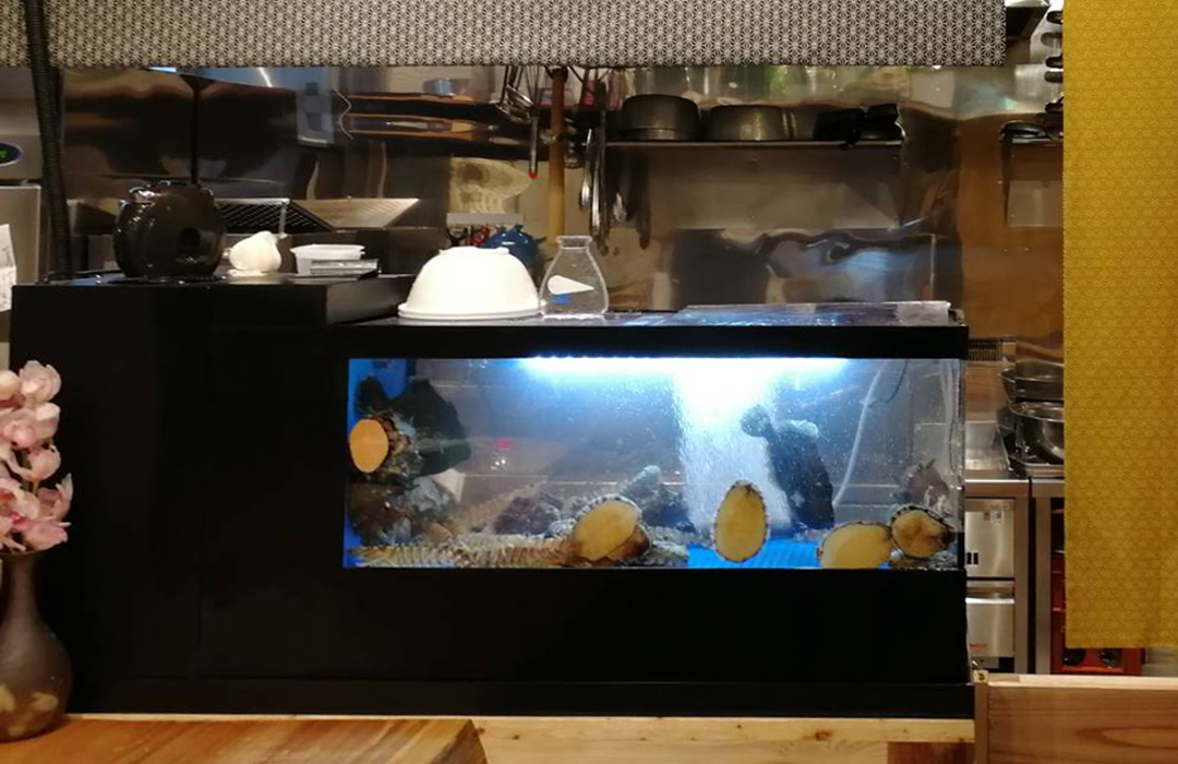 二段式水槽Sサイズ