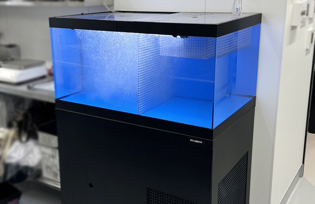 一段式水槽100cmのアクリル水槽