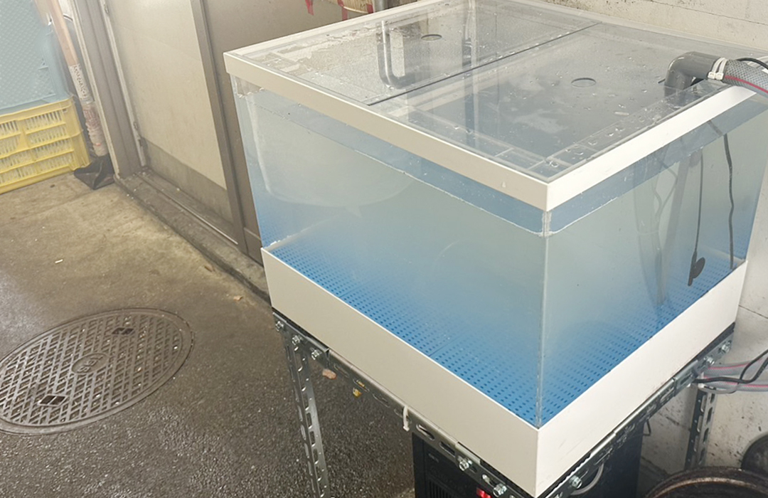 一段式水槽60cmのアクリル水槽