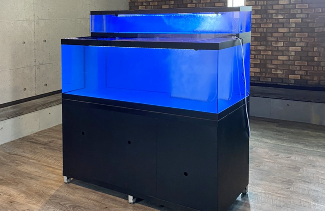 二段式水槽Lサイズ