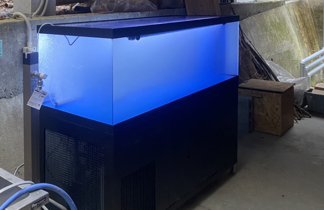 一段式水槽 Lサイズ