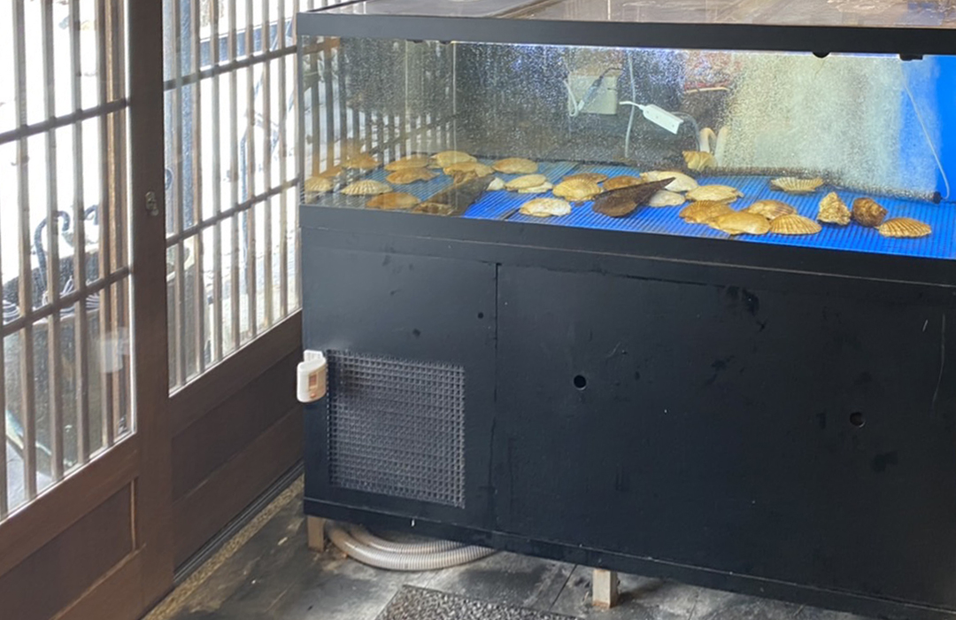 一段式水槽 Lサイズ