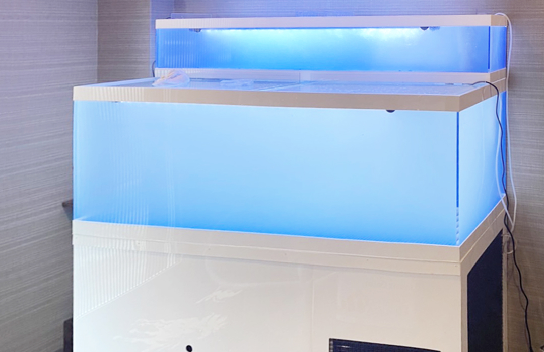 二段式水槽 Lサイズ