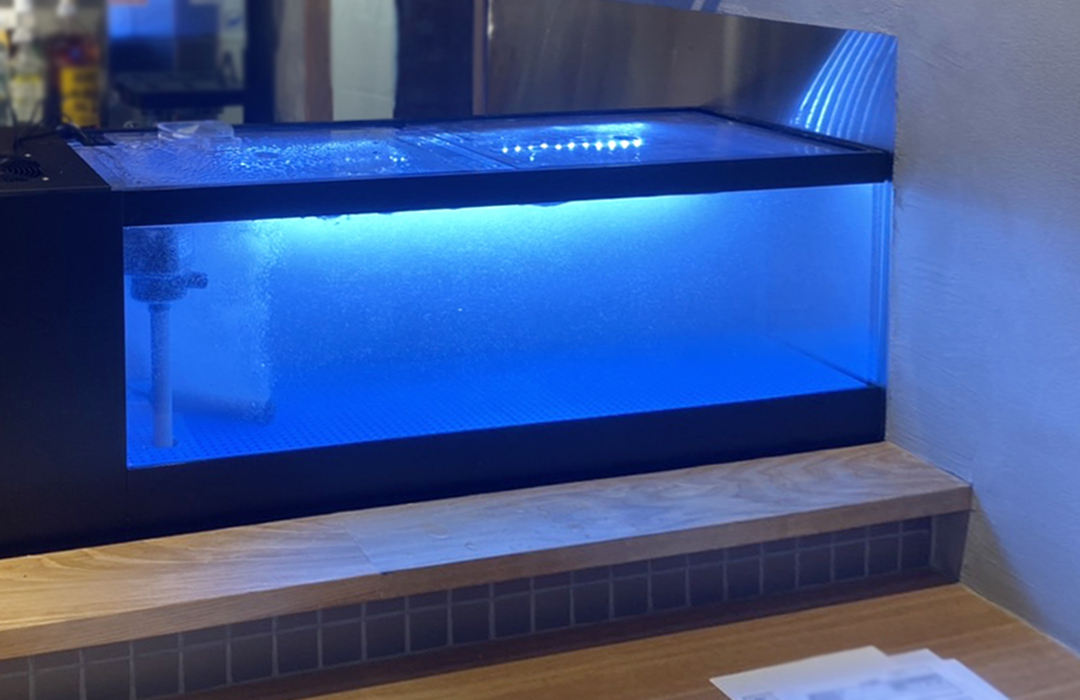 卓上に設置した水槽