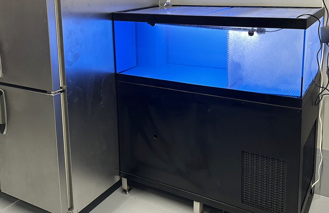 一段式水槽Mサイズ