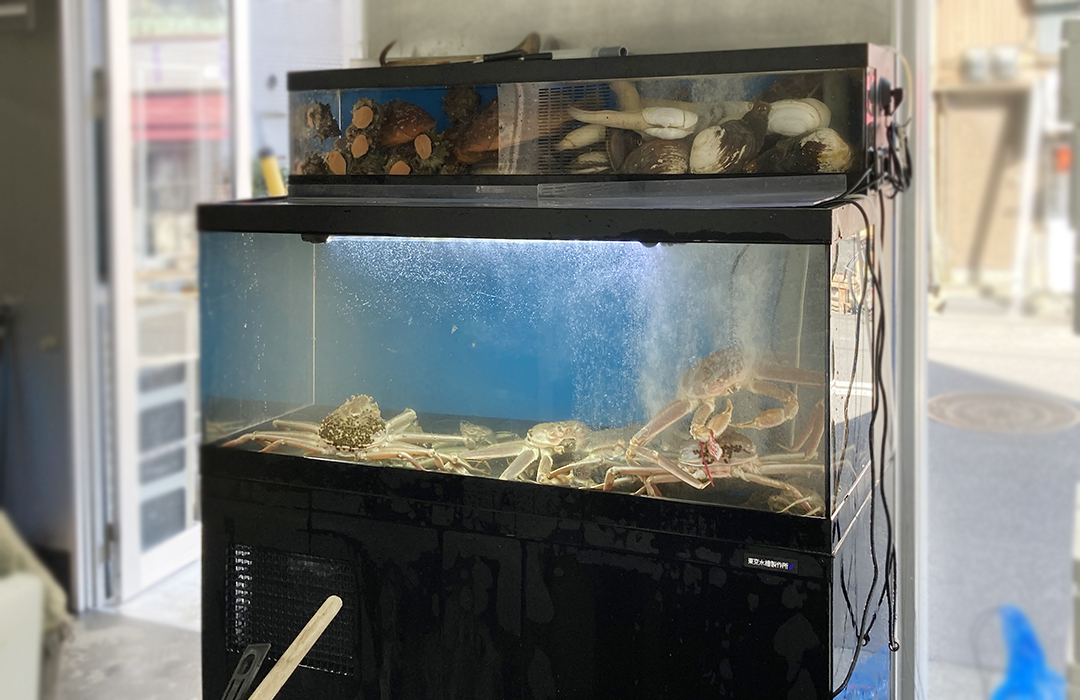 二段式水槽Mサイズ