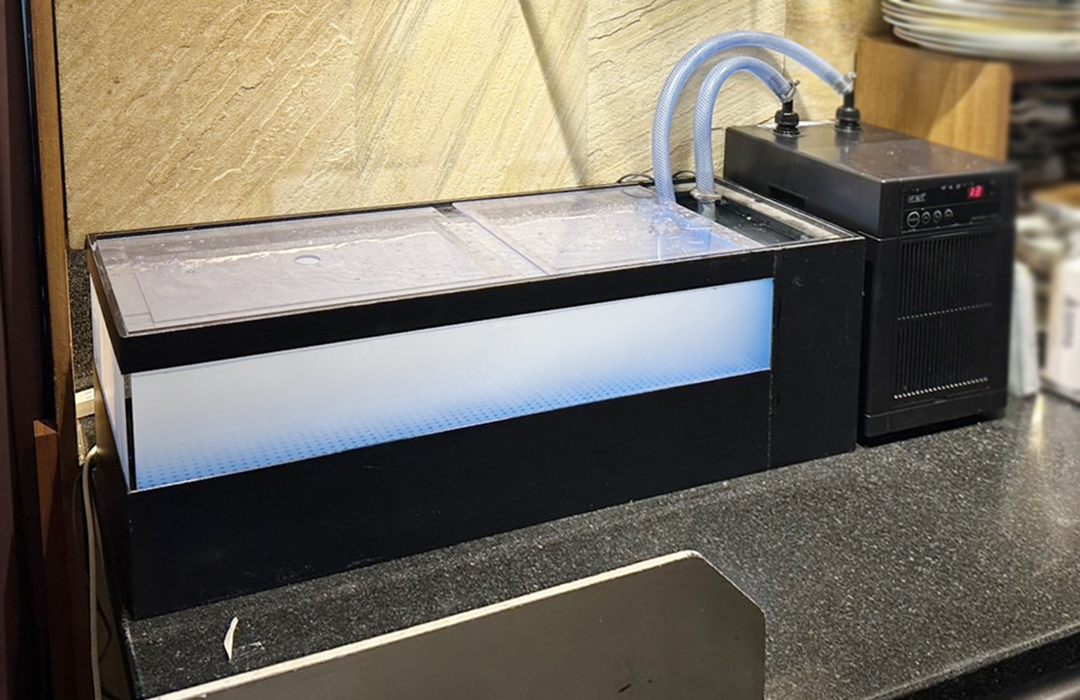 卓上型でカウンターに置いたアクリル水槽