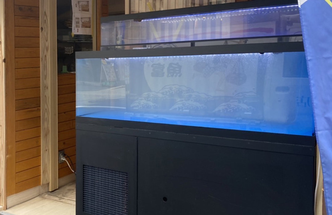 二段式水槽Lサイズ