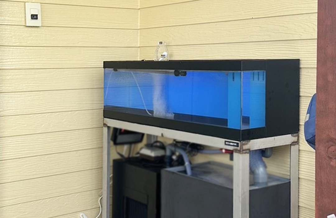 一段式水槽W100cm