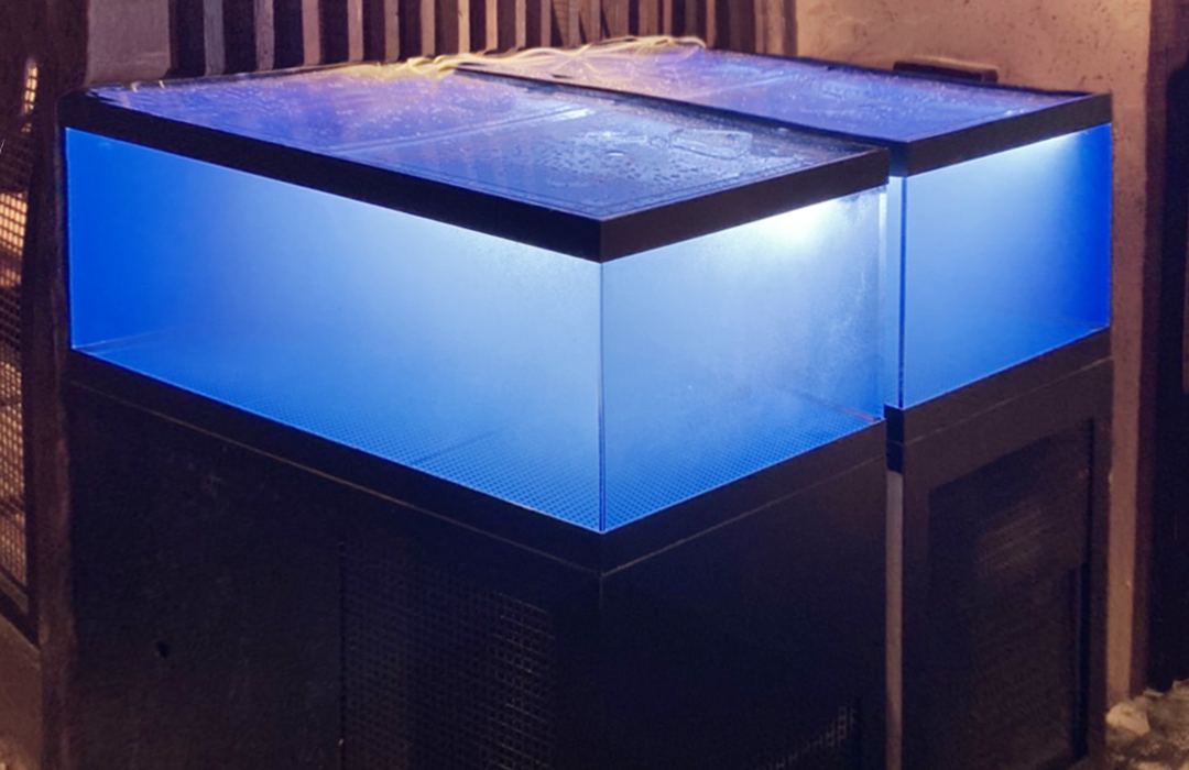 一段式水槽100cmのアクリル水槽