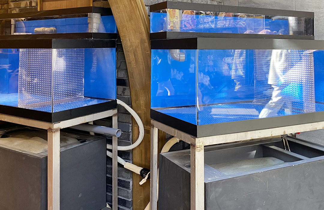 二段式水槽90cmのアクリル水槽