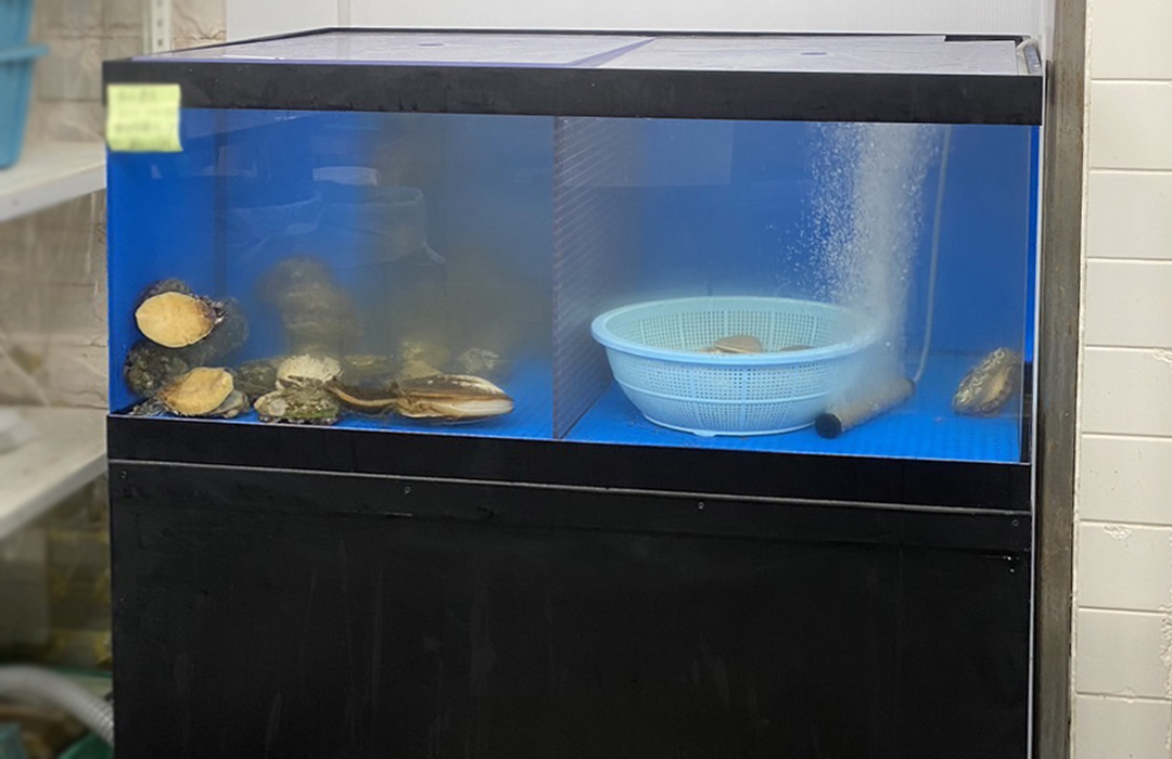 一段式水槽90cmのアクリル水槽