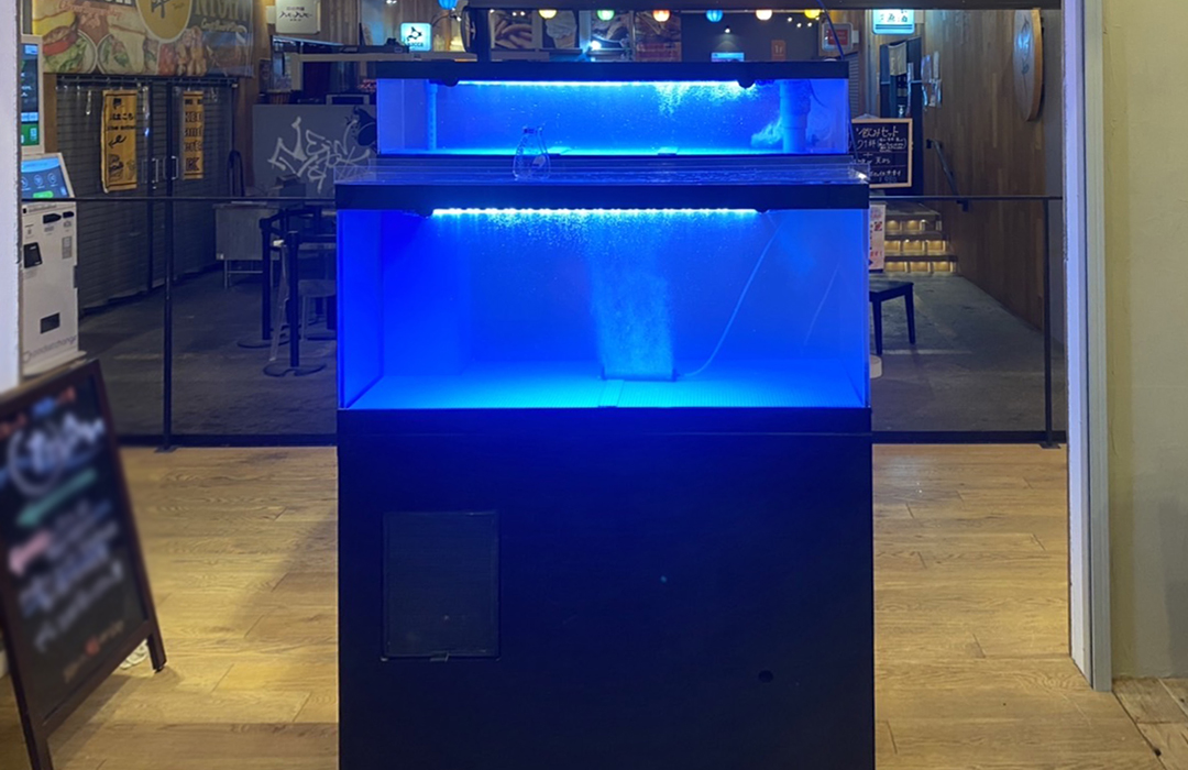二段式水槽100cmのアクリル水槽