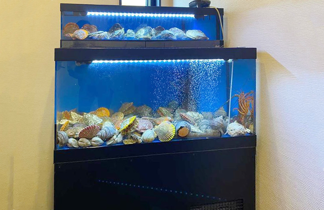 二段式水槽Sサイズ