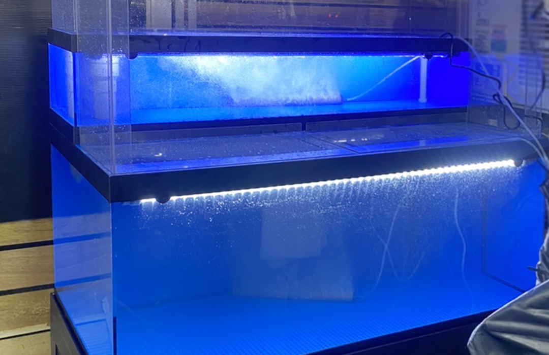 二段式水槽Mサイズ