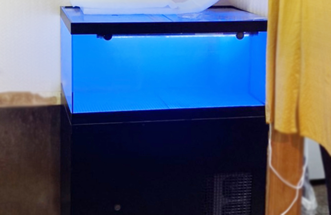 一段式水槽Sサイズ