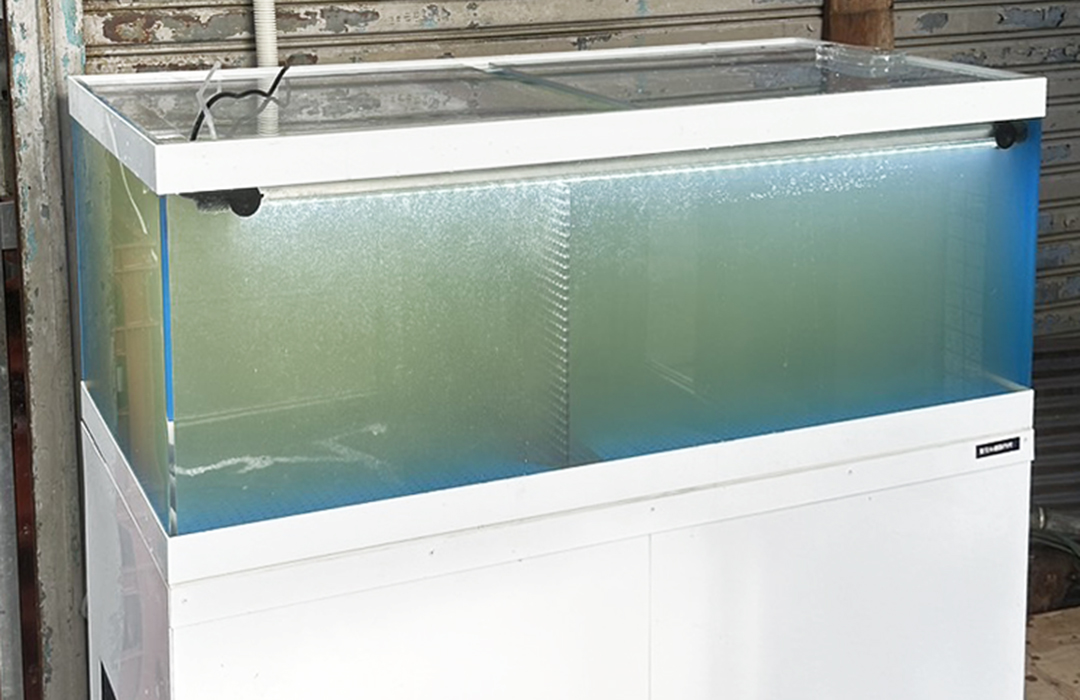 一段式水槽Mサイズ