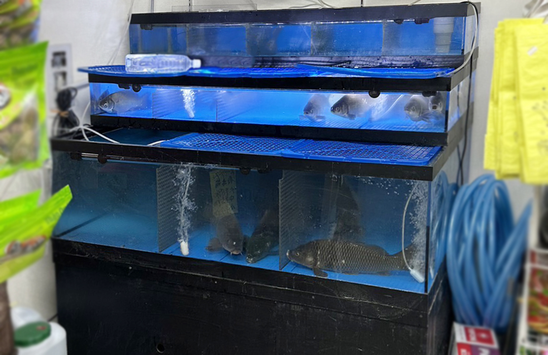 三段式のアクリル水槽