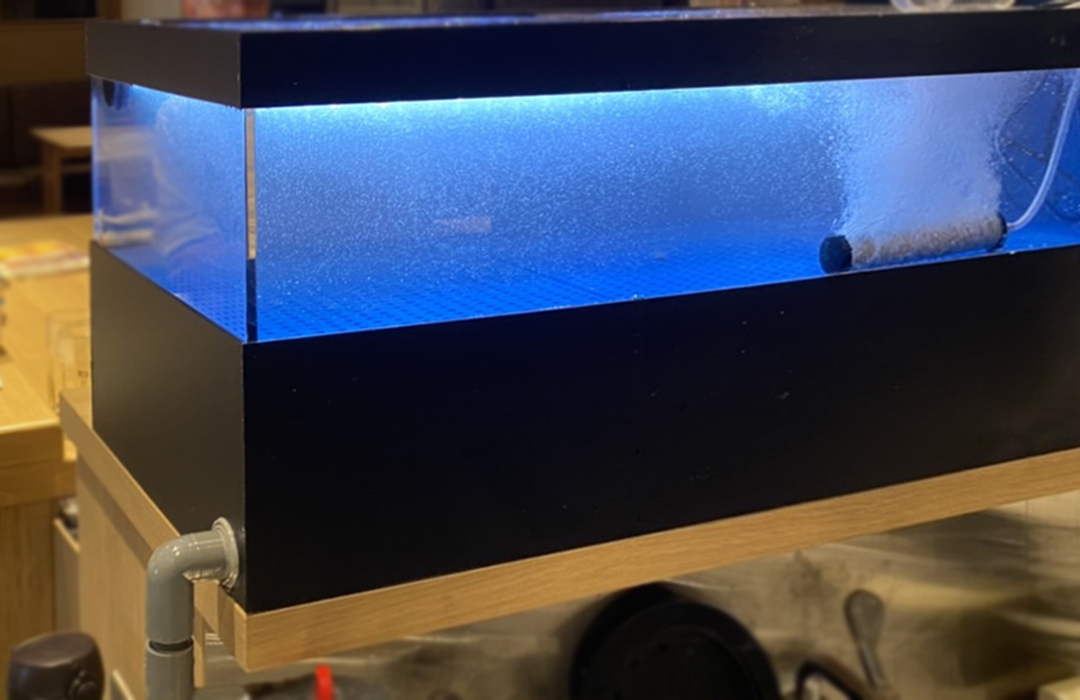 卓上型でカウンターに置いたアクリル水槽