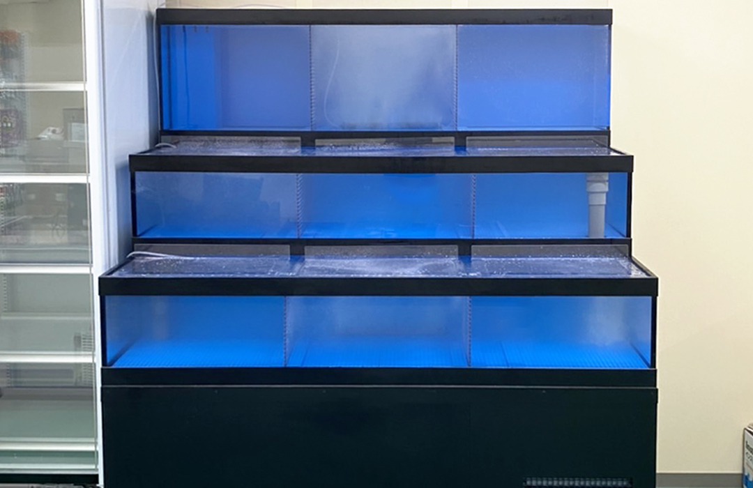 三段式のアクリル水槽