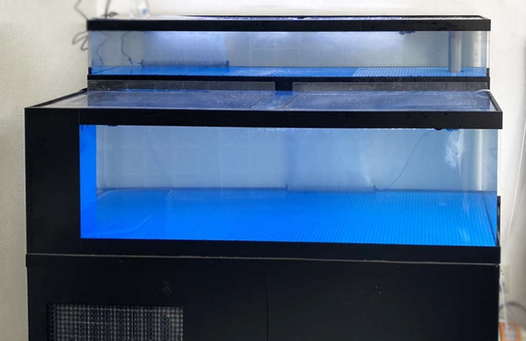 二段式のアクリル水槽