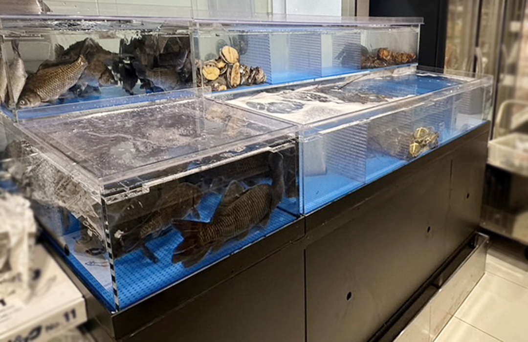 二段式のアクリル水槽