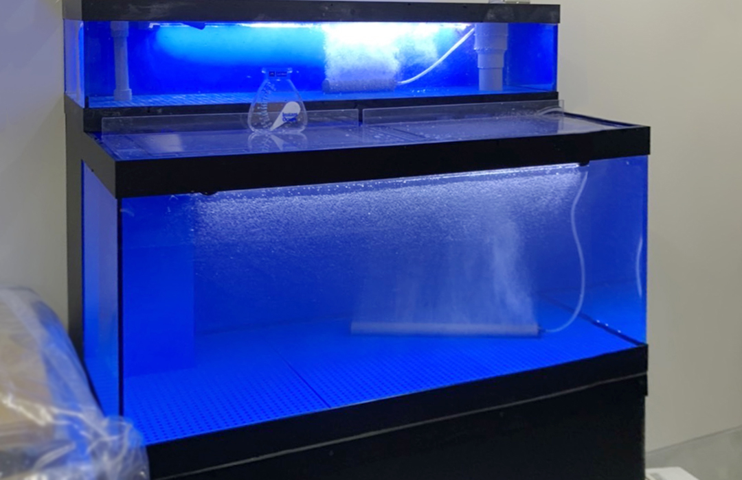 二段式のアクリル水槽W90cm