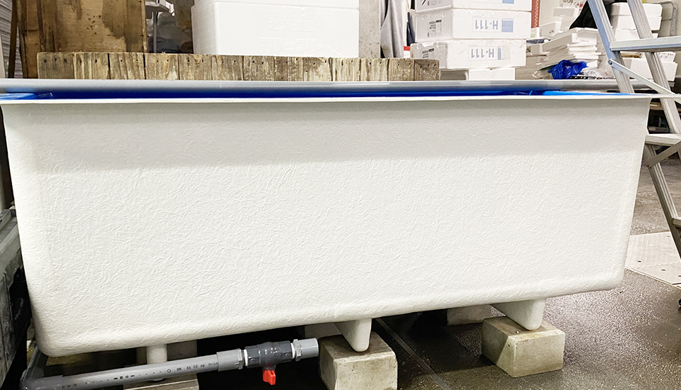 生簀 水槽 FRP お作りいたします 生簀 水槽 FRP お作りいたします